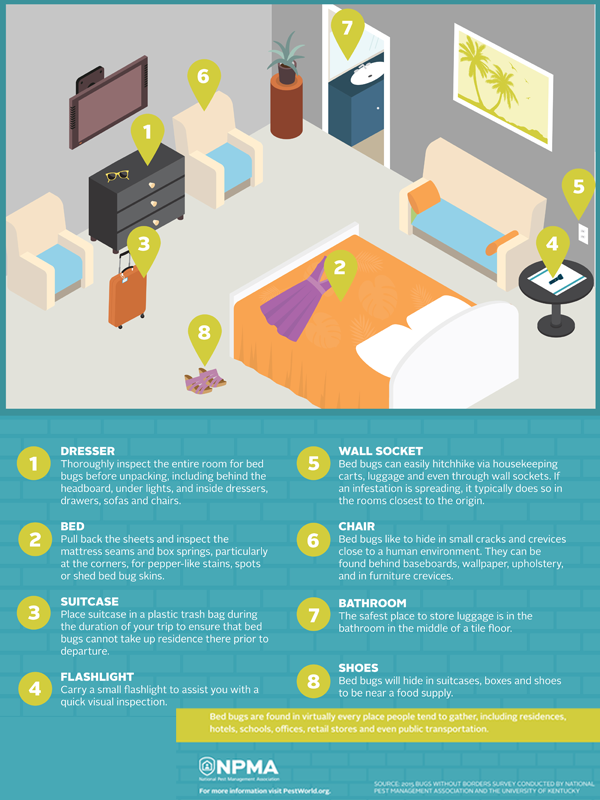 How To Stop a Bed Bug Infestation During Peak Season